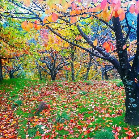 La Albarea By #Cherrygredos El Arenal  Kültér fotó