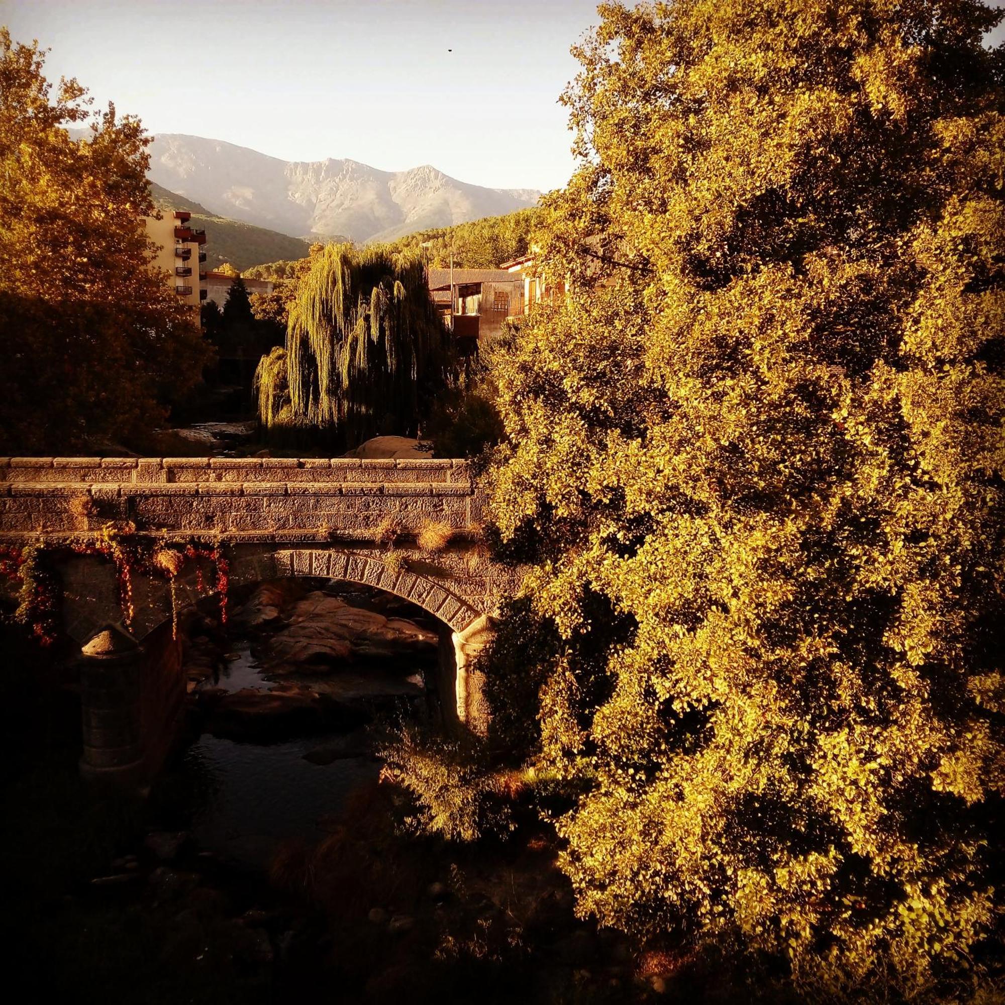 La Albarea By #Cherrygredos El Arenal  Kültér fotó