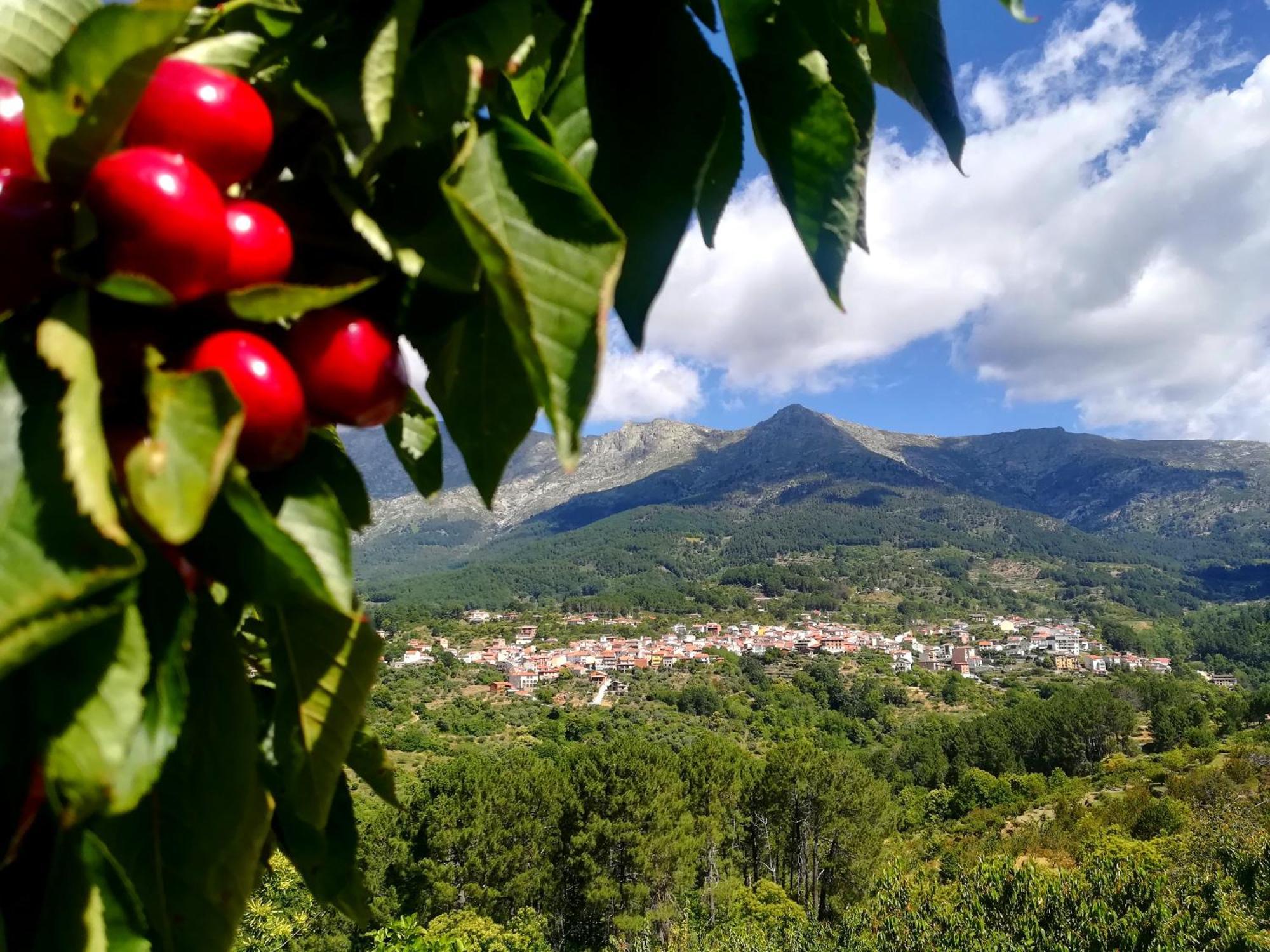 La Albarea By #Cherrygredos El Arenal  Kültér fotó