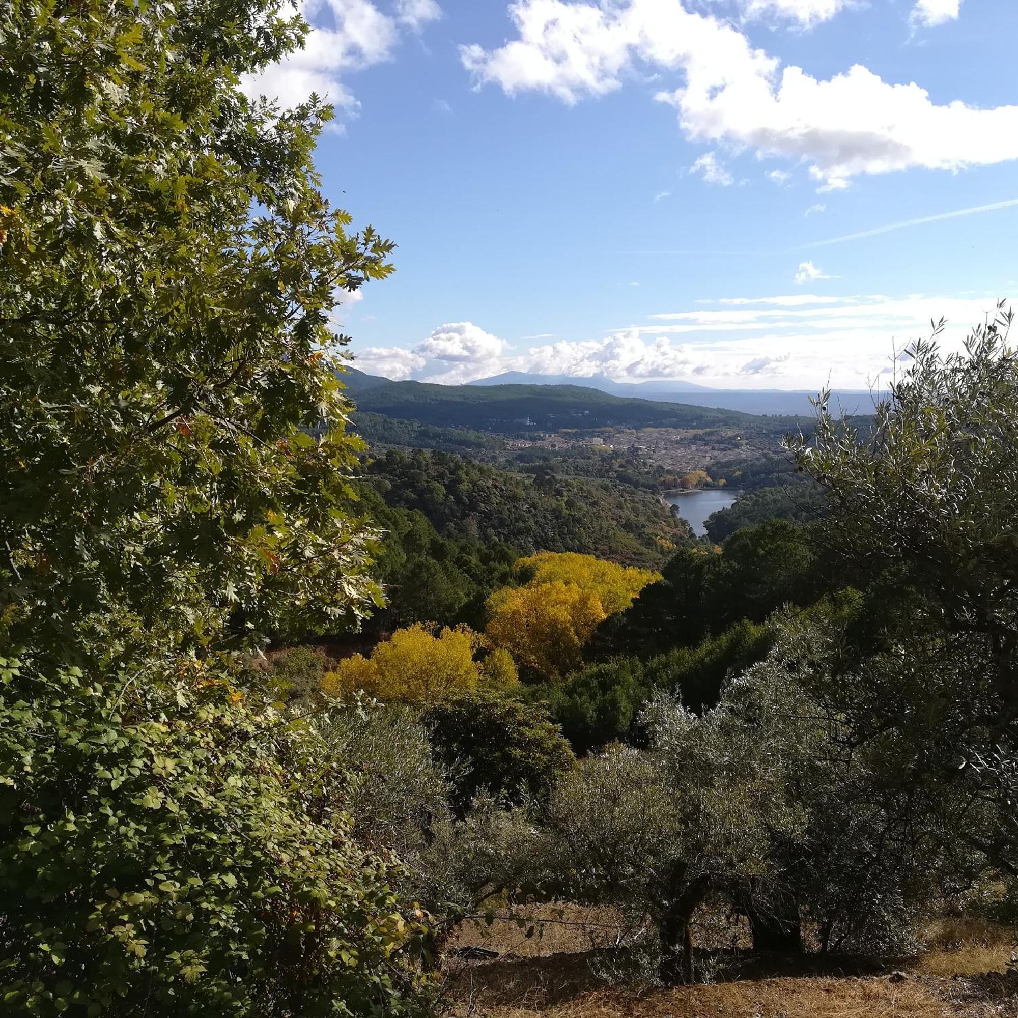 La Albarea By #Cherrygredos El Arenal  Kültér fotó