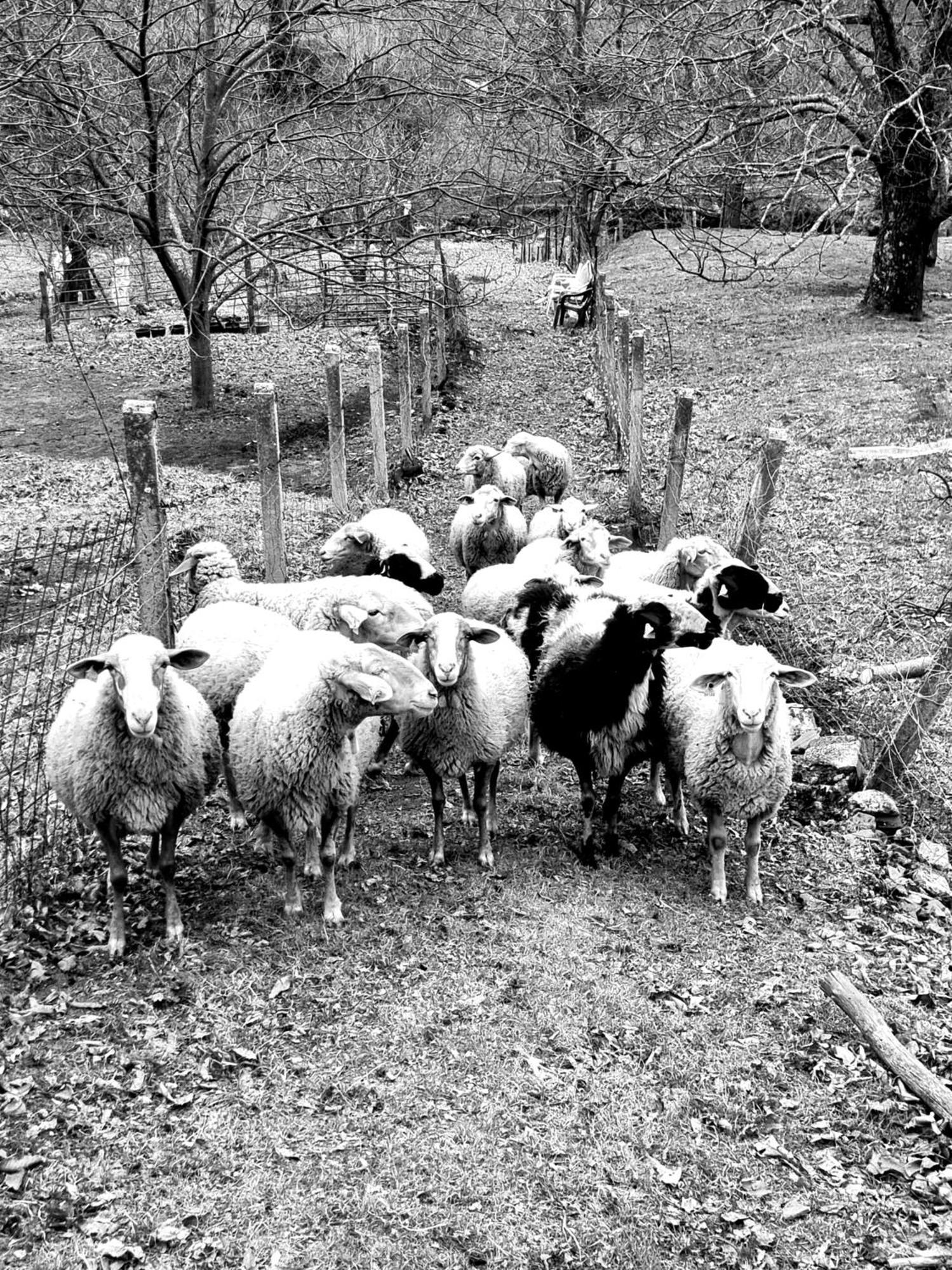 La Albarea By #Cherrygredos El Arenal  Kültér fotó