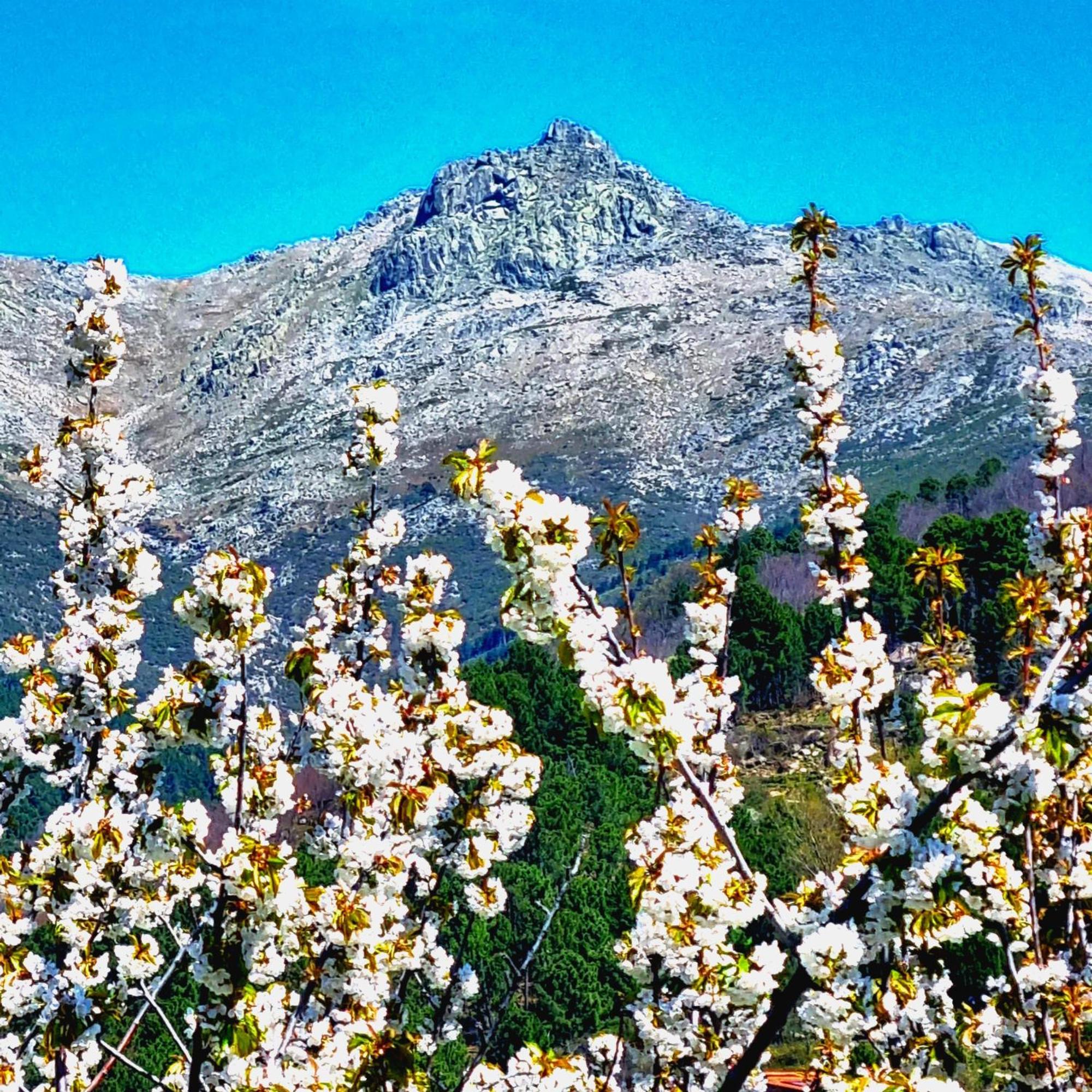 La Albarea By #Cherrygredos El Arenal  Kültér fotó
