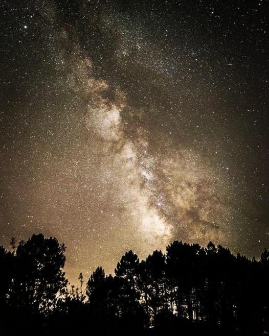 La Albarea By #Cherrygredos El Arenal  Kültér fotó